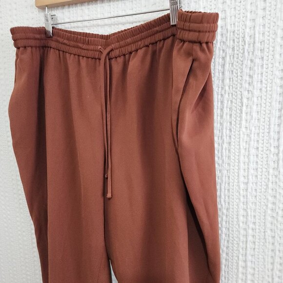 Express Midrise Brown Jogger Pants Women's Plus Size 2X - Picture 9 of 12